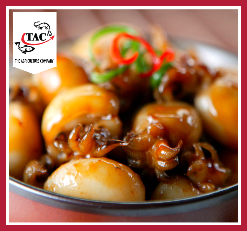Baby Cuttlefish 小墨斗 500g