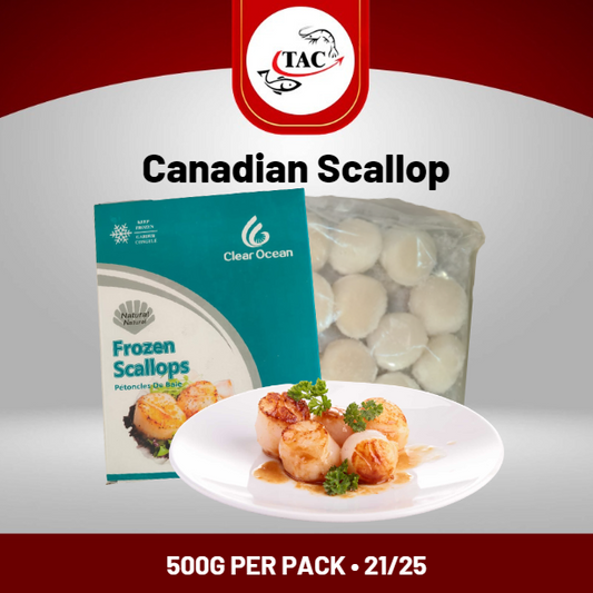 XL Canadian Scallop Meat 加拿大扇贝 500g